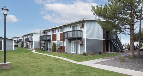 a row of town homes with a lawn and trees in front of them